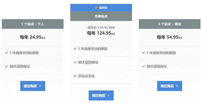 Perfmatters 定价计划